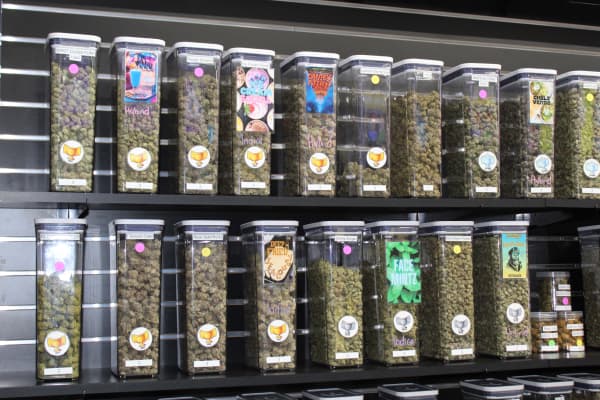 Border Buds in-store image 7