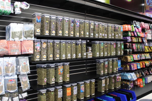 Border Buds in-store image 4