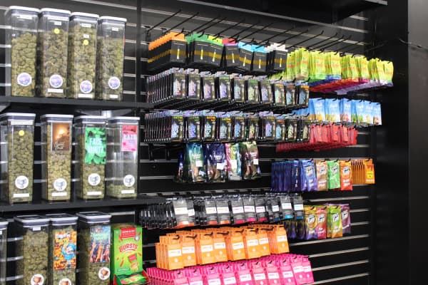 Border Buds in-store image 8