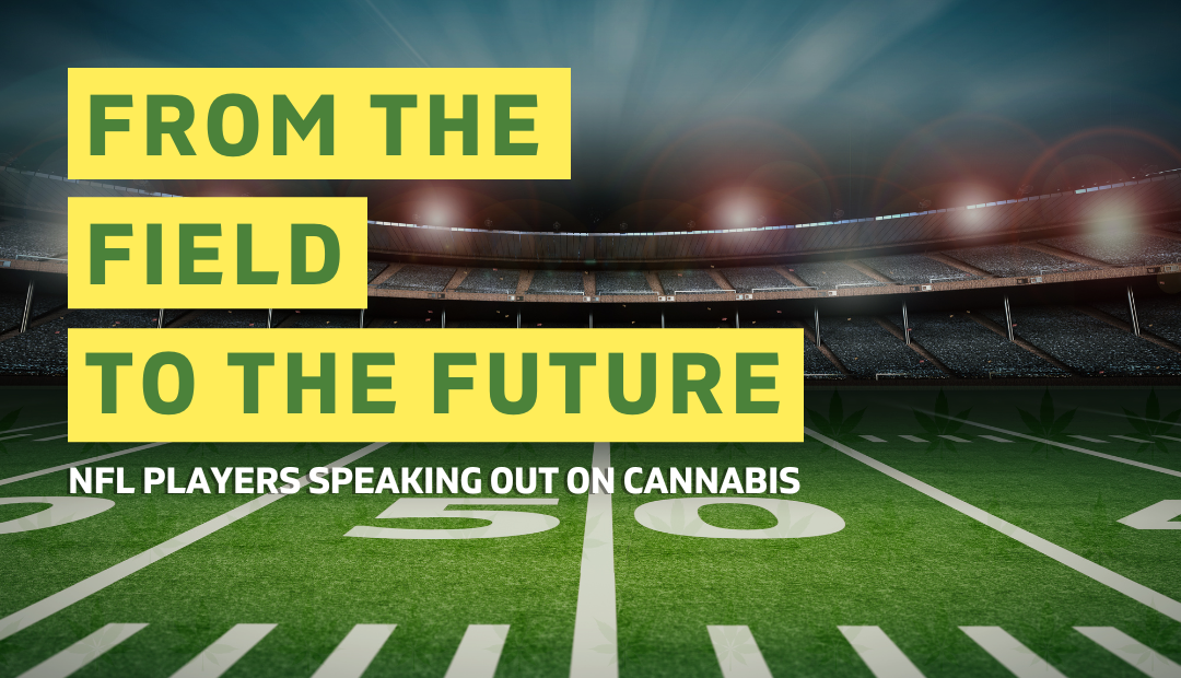 From the Field to the Future: NFL Players Speaking Out on Cannabis Thumbnail